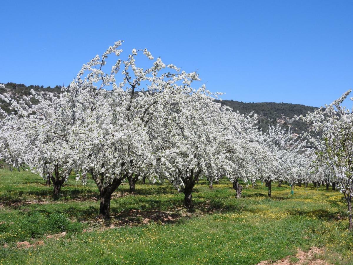 Les Petits Clements Βίλα Villars  Εξωτερικό φωτογραφία